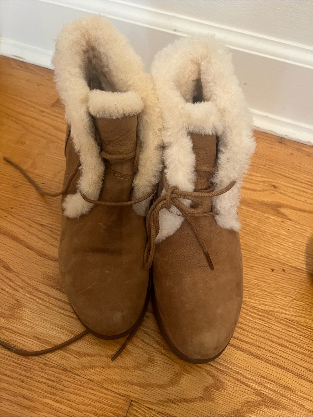 UGG Jeovana Chestnut Chestnut Suede Waterproof Ankle Wedge Boots
